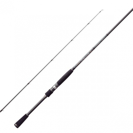 егинг модел.jpg